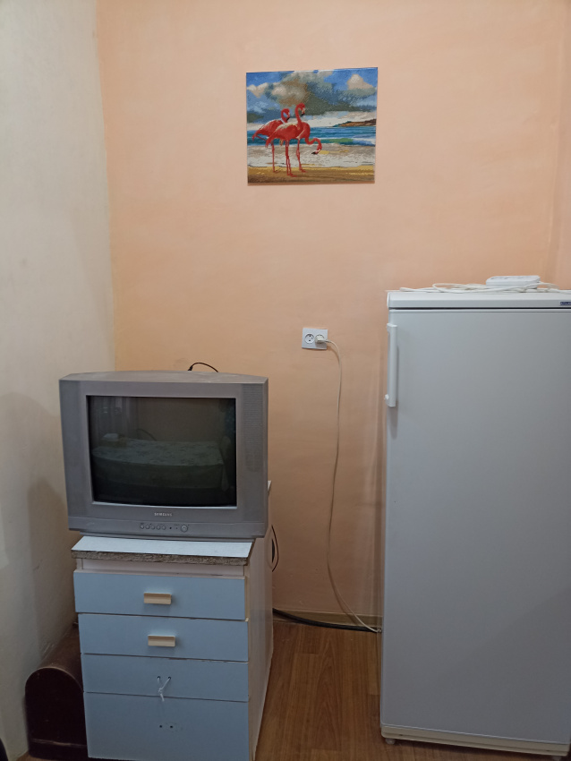 3х-комнатная квартира Рыбзаводская 81 в Лдзаа (Пицунда) - фото 5