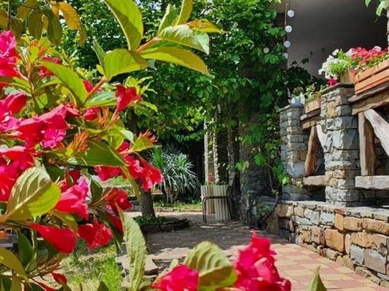 "Ботаника" гостевой дом в Архипо-Осиповке - фото 8