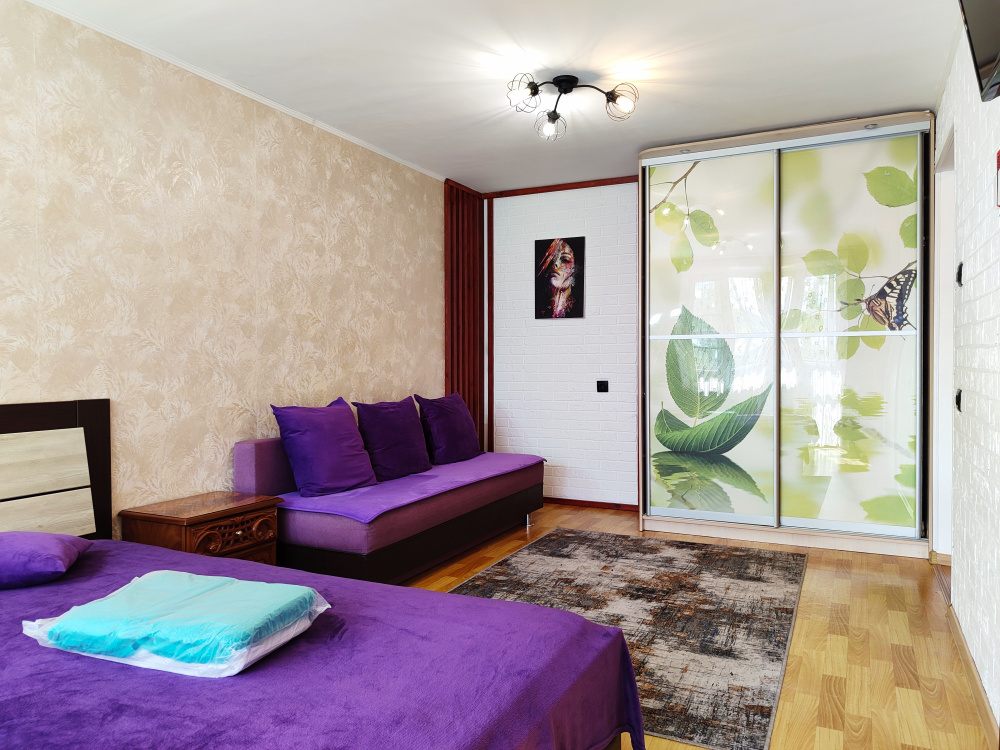 1-комнатная квартира Краснореченская 163 в Хабаровске - фото 5