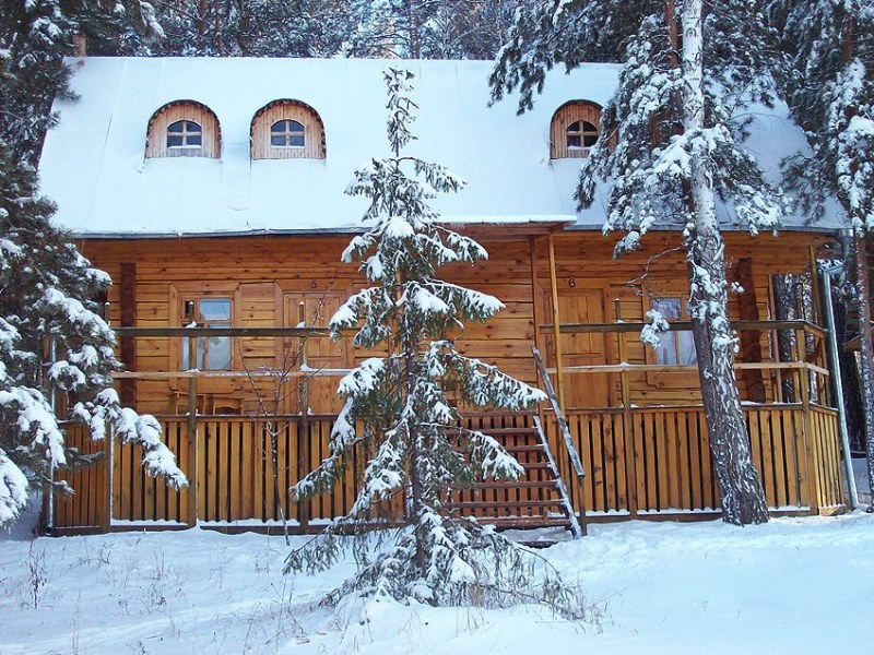 "Русский дом" база отдыха в с. Язово (Тальменка) - фото 14