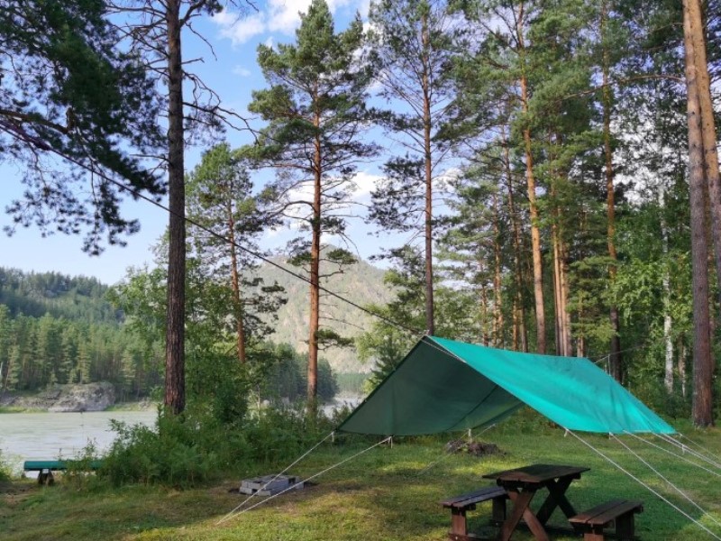 "Forest Camp Altay" кемпинг в п. Барангол - фото 1