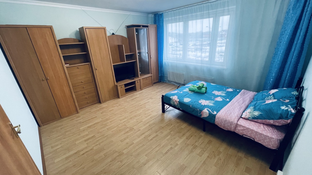 1-комнатная квартира Дмитриева 4 в Балашихе - фото 1