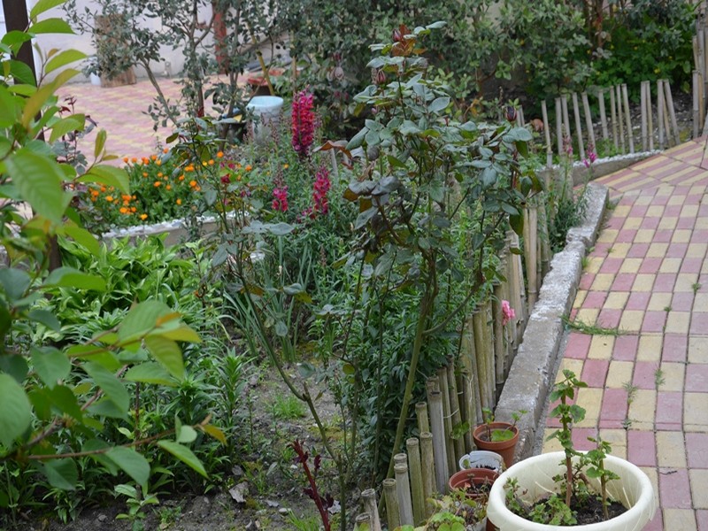 "Цветущий Сад" гостевой дом в Вардане - фото 7