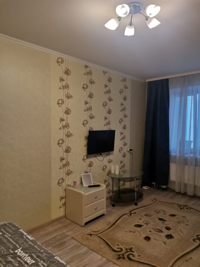 1-комнатная квартира Мичурина 5 в Томске - фото 2