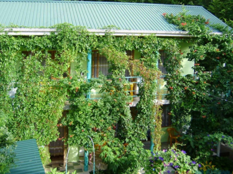 "Эдельвейс" гостевой дом в Новомихайловском - фото 4