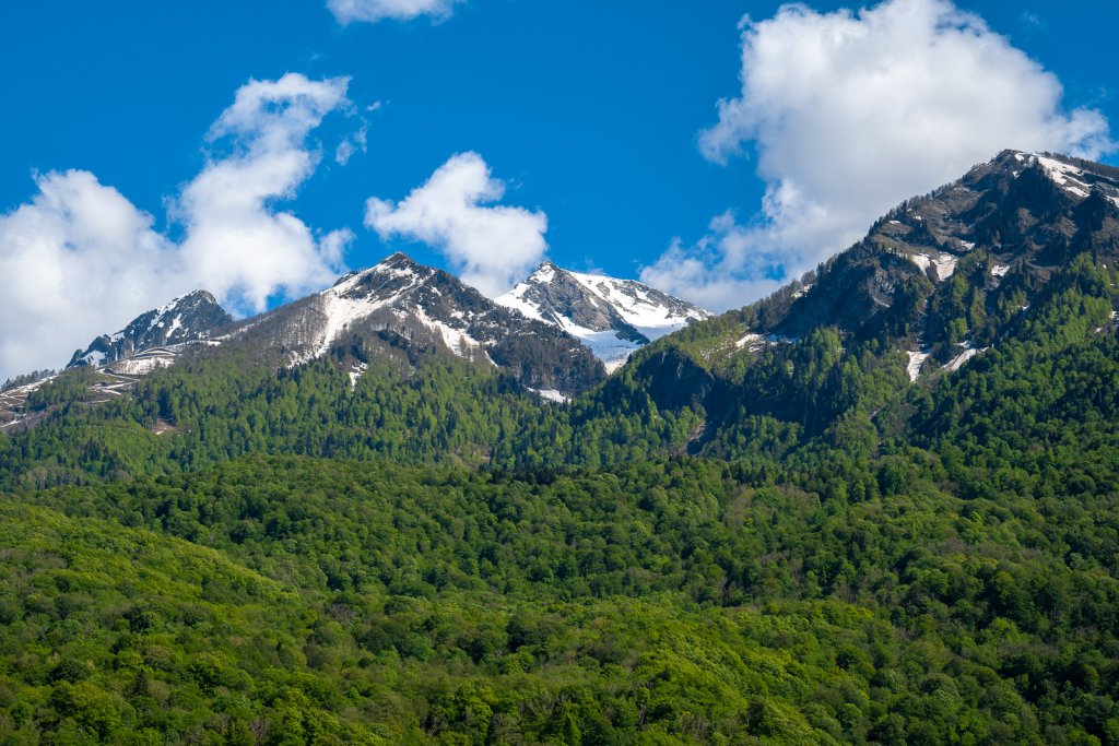 "Steford" апарт-отель в Красной Поляне - фото 8