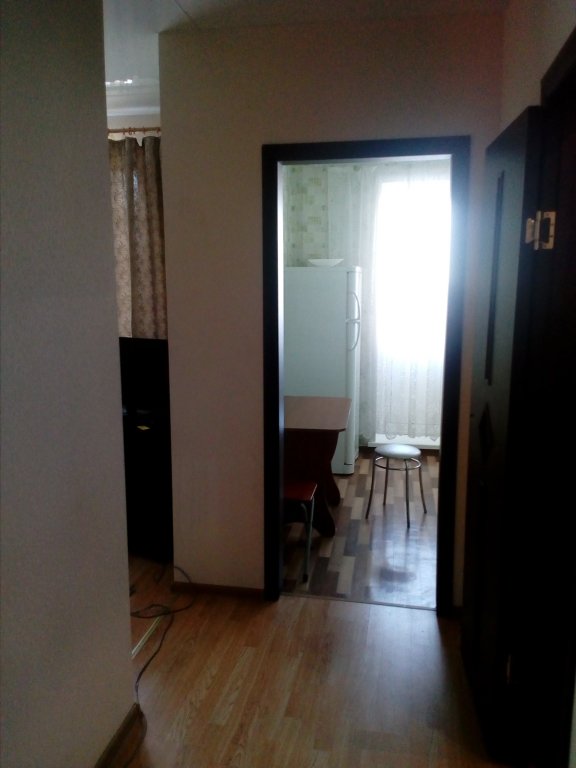 "Симбирские Высотки" 1-комнатная квартира в Ульяновске - фото 5