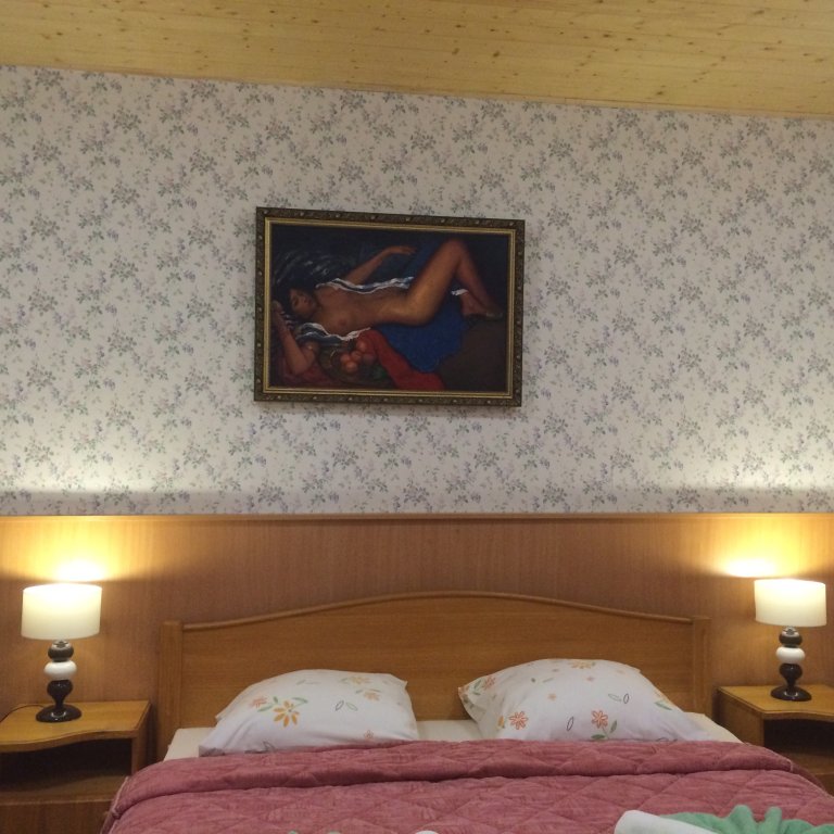 "Вилла Арго" мини-отель в п. Лесное (Светлогорск) - фото 5