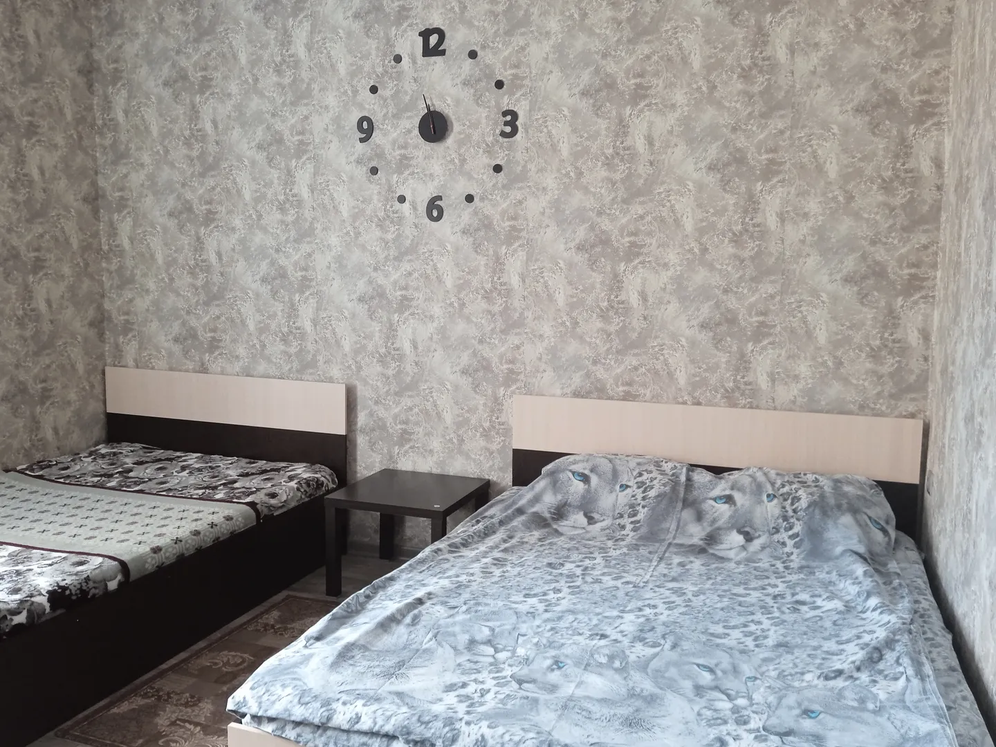 1-комнатная квартира Революции 4 в Павловске - фото 1