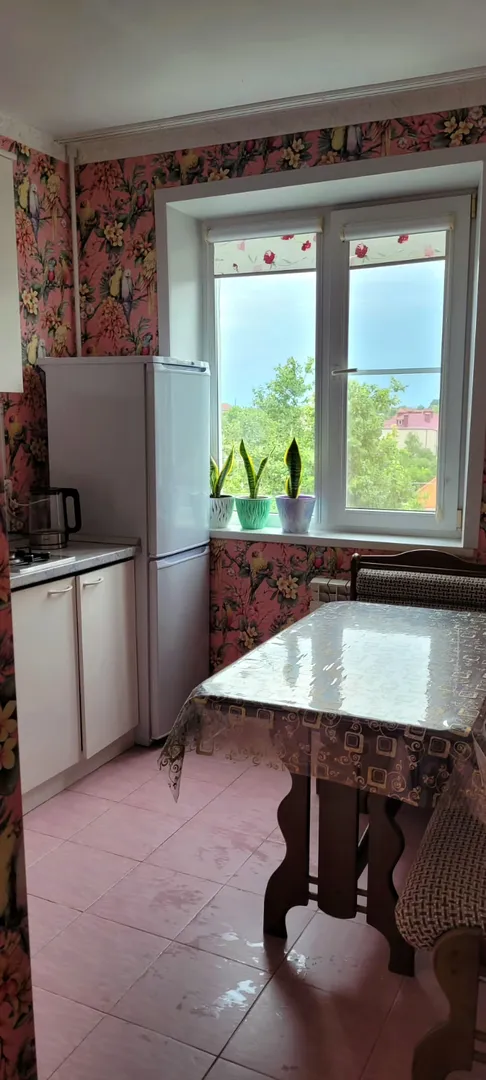 "Уютная" 1-комнатная квартира в Полтавской - фото 5