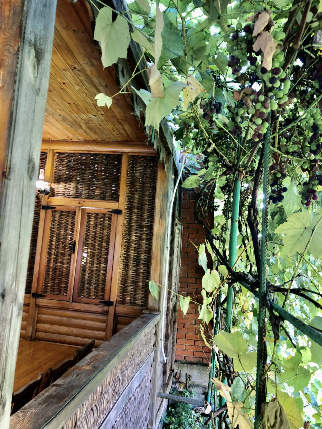 "Виноградный" мини-гостиница в Сочи - фото 41