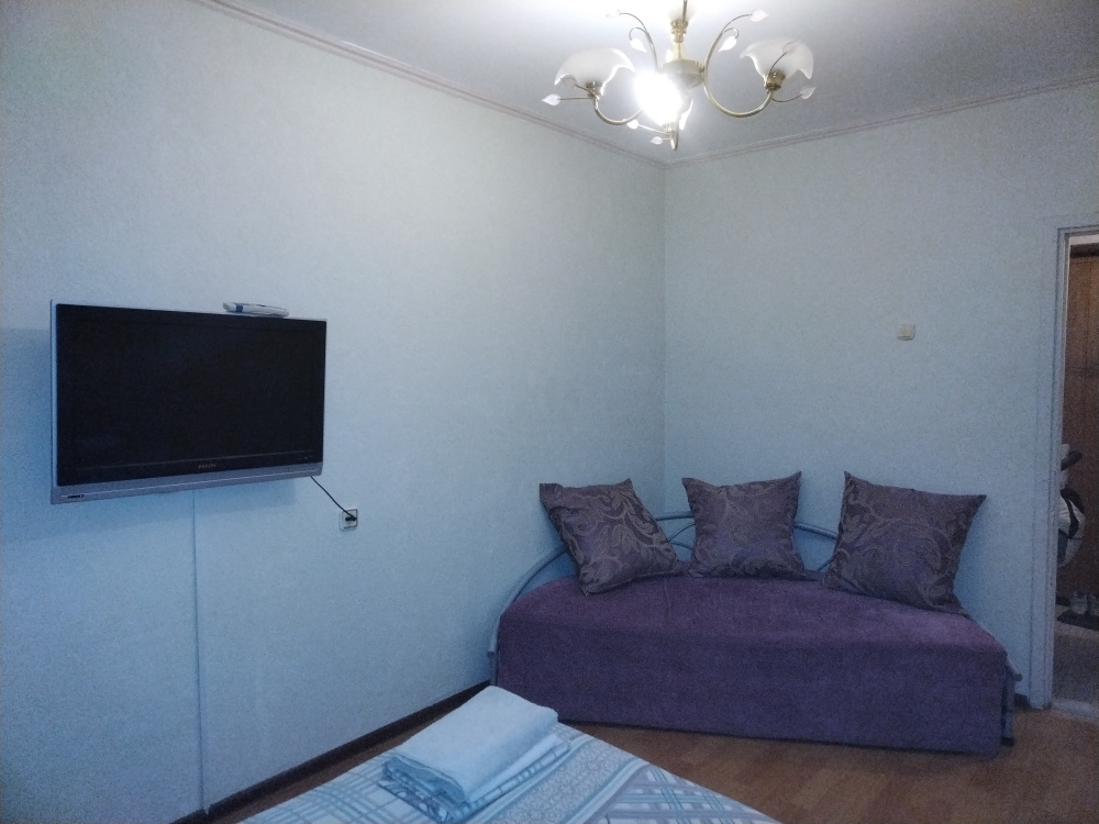 1-комнатная квартира Молокова 31В в Красноярске - фото 3