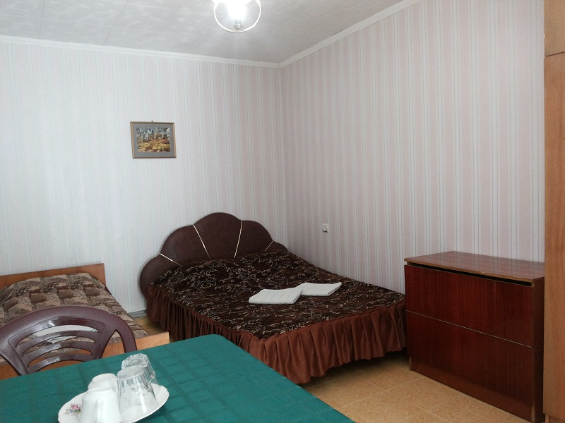 "Ирина" гостевой дом в Николаевке - фото 31