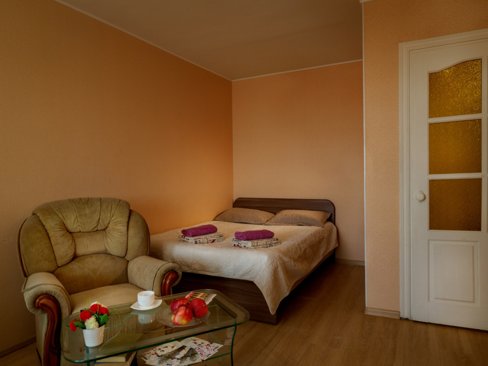 1-комнатная квартира Маршала Конева 29 в Смоленске - фото 2