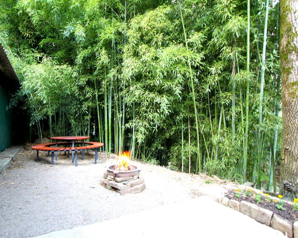 "Бамбуковая роща" гостевой дом в Мацесте - фото 6