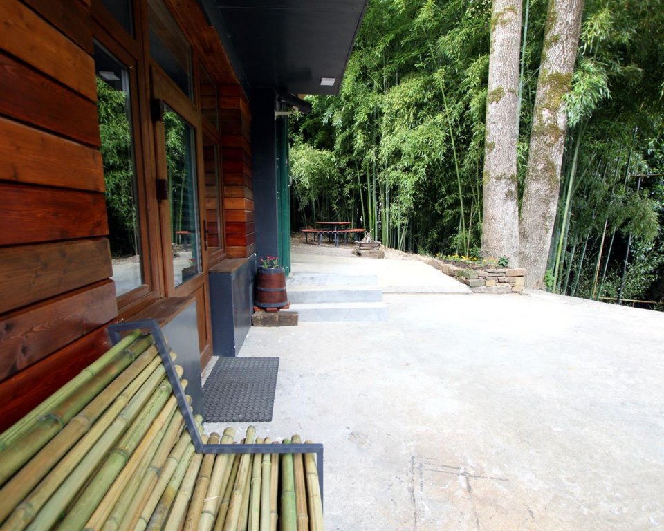 "Бамбуковая роща" гостевой дом в Мацесте - фото 4