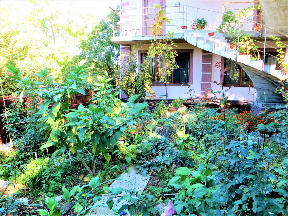 "Эдем" гостевой дом в Джанхоте - фото 7