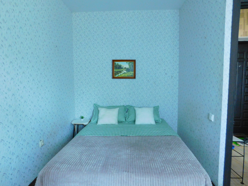 "Двуглавый Бигль" 1-комнатная квартира в п. Придорожный (Самара) - фото 3