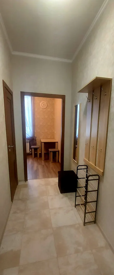 2х-комнатная квартира Константиновская 22 в Петергофе - фото 8