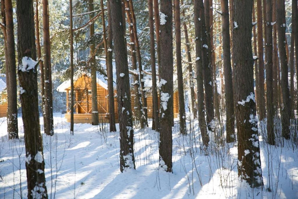 "Княжья Речка" база отдыха в д. Изворотень (Тверь) - фото 7