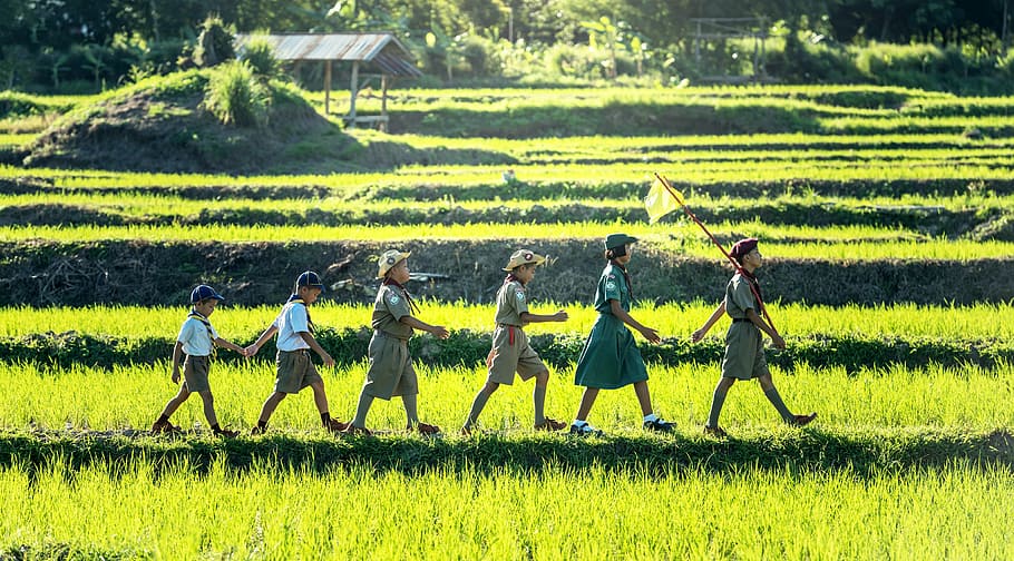 boy-scout-scouting-asia.jpg boy-scout-scouting-asia.jpg