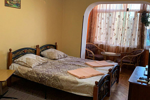 Отдых в Абхазии с животными, 1-комнатная Абазгаа 47/1 с размещением с животными - фото