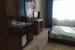 1-комнатная квартира Луначарского 16 в Плёсе фото 11