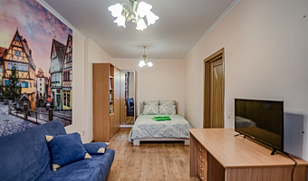 1-комнатная квартира Жуковского 23А в Казани - фото 4