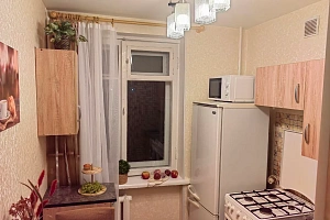 1-комнатная квартира Володарского 54 в Сестрорецке фото 16