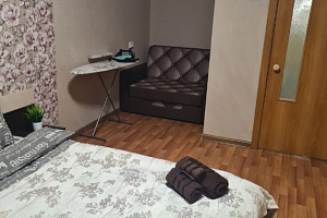 Гостиницы Красноярска с термальными источниками, 1-комнатная Алексеева 5 с термальными источниками - забронировать номер