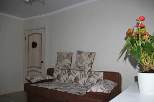 &quot;Уютная в центре&quot; 2х-комнатная квартира в Петергофе фото 2