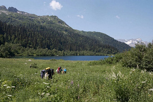 Базы отдыха Мостовского района в горах, "Отдых на пасеке" в горах - забронировать