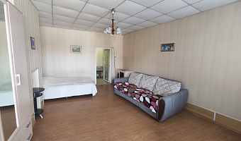 1-комнатная квартира Ксении Ге 2 в Кисловодске - фото 3