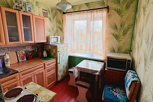 1-комнатная квартира Дзержинского 12 в Медвежьегорске фото 3