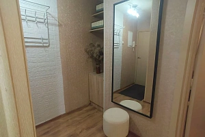 1-комнатная квартира Володарского 54 в Сестрорецке фото 3