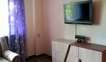 2х-комнатная квартира Гагарина 3 в Светлогорске - фото 4