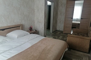 &quot;Уютная для отдыха&quot; 1-комнатная квартира в Павловске фото 3