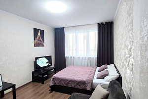 1-комнатная квартира Краснозвёздная 35 в Нижнем Новгороде 10