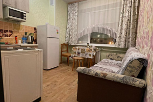 1-комнатная квартира Красный 59 в Новосибирске 4