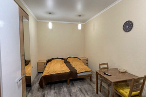 Квартиры Кисловодска с размещением с животными, квартира-студия Шаумяна 3 с размещением с животными - цены