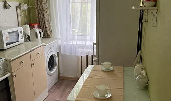 1-комнатная квартира Путешественника Козлова 18 в Петергофе - фото 4