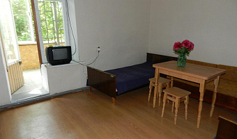 1-комнатная квартира Бондаренко 2 в Орджоникидзе (Феодосия) - фото 4