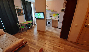 1-комнатная квартира Калининградский 14 в Светлогорске - фото 4