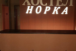 Хостелы Новосибирска с аквапарком, "НОРКА" с аквапарком - фото