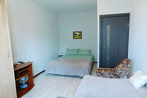 Квартиры Самары на набережной, "Двуглавый Бигль" 1-комнатная на набережной - фото