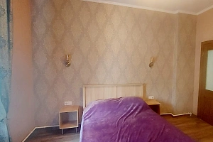 2х-комнатная квартира Константиновская 22 в Петергофе фото 13