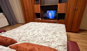 &quot;У Метро&quot; 1-комнатная квартира в п. Мурино (Санкт-Петербург) - фото 4