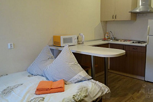 Квартиры Гатчины с размещением с животными, 1-комнатная Хохлова 16 с размещением с животными - фото