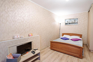 1-комнатная квартира Анохина 37 в Петрозаводске 2