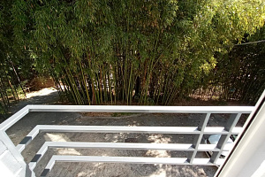 &quot;Бамбуковая роща&quot; гостевой дом в Мацесте фото 17